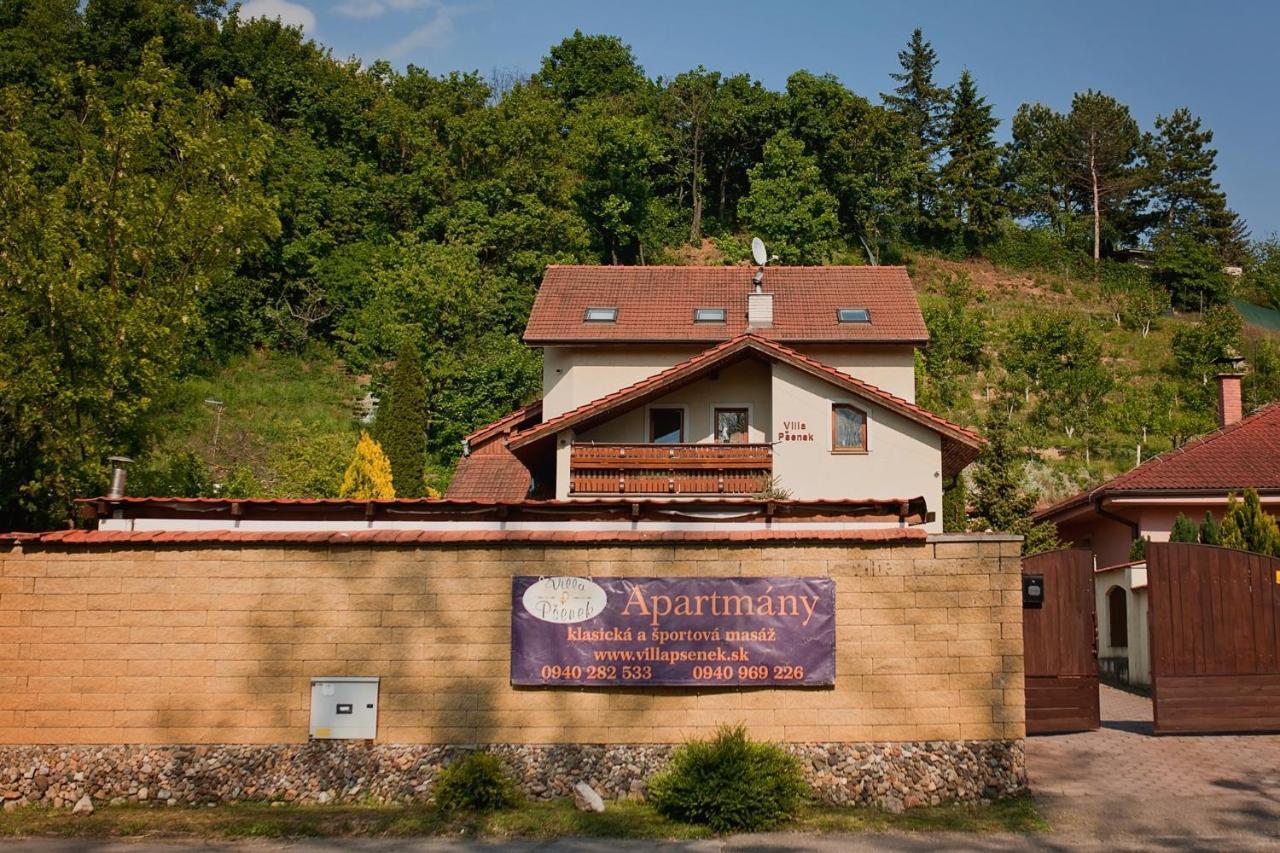 Villa Psenek Banka Exterior photo